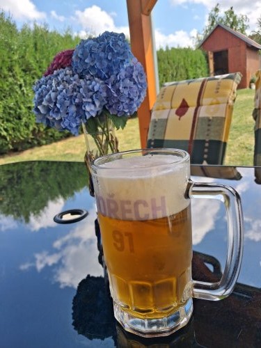 Vořech 